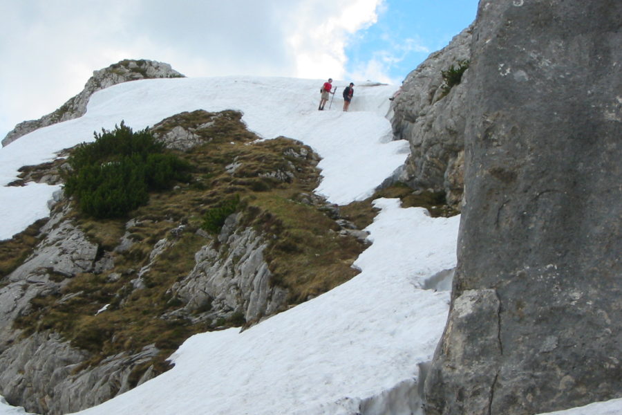 Schneefeld © Dagmar Walter