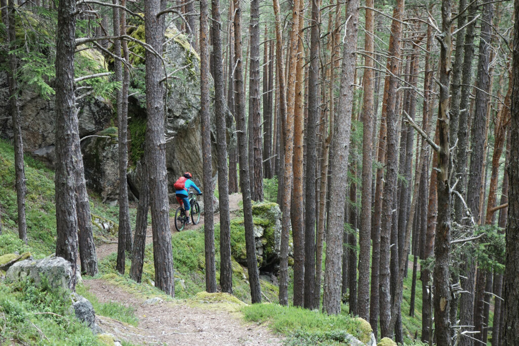 MTB Trail © Matthias Knaus I ÖKAS MTB Trail © Matthias Knaus I ÖKAS