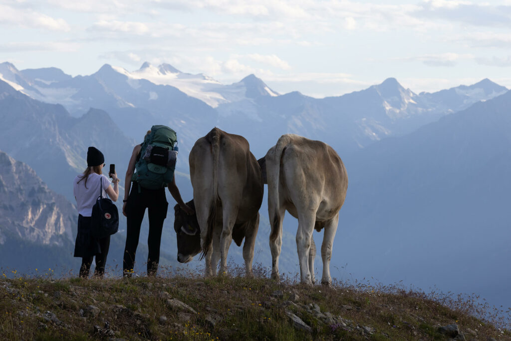 PA April 2022 © Matthias Knaus I ÖKAS PA April 2022 © Matthias Knaus I ÖKAS