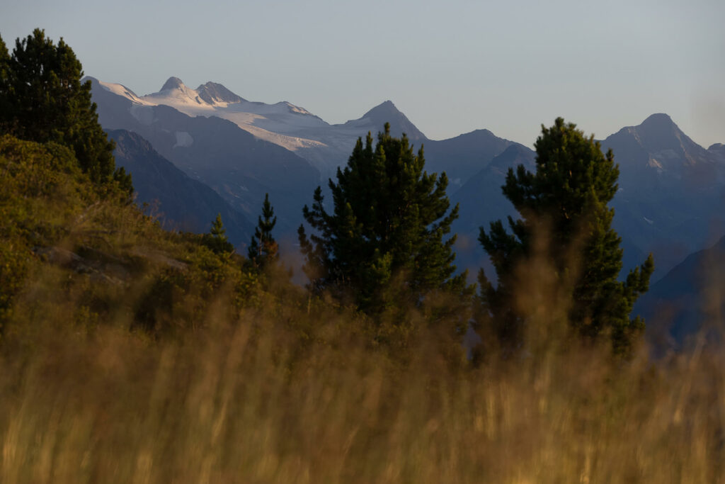 PA April 2022 © Matthias Knaus I ÖKAS PA April 2022 © Matthias Knaus I ÖKAS