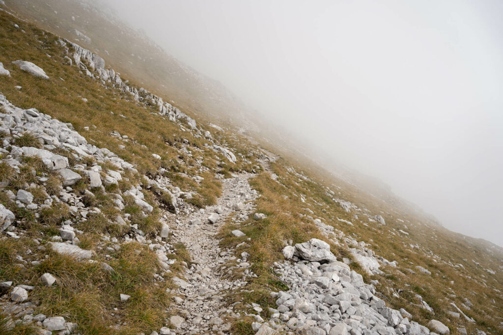 PA April 2022 © Matthias Knaus I ÖKAS PA April 2022 © Matthias Knaus I ÖKAS