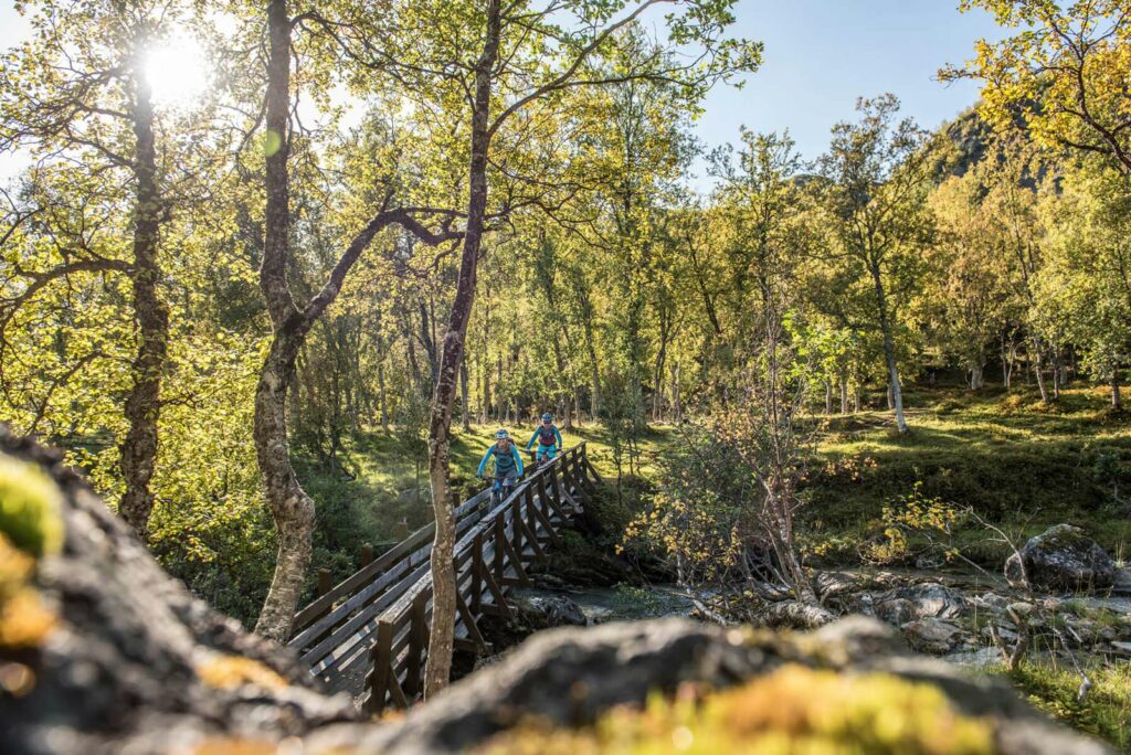 Fahrtechnik © Rene Sendlhofer-Schag I OEKAS Fahrtechnik © Rene Sendlhofer-Schag I OEKAS