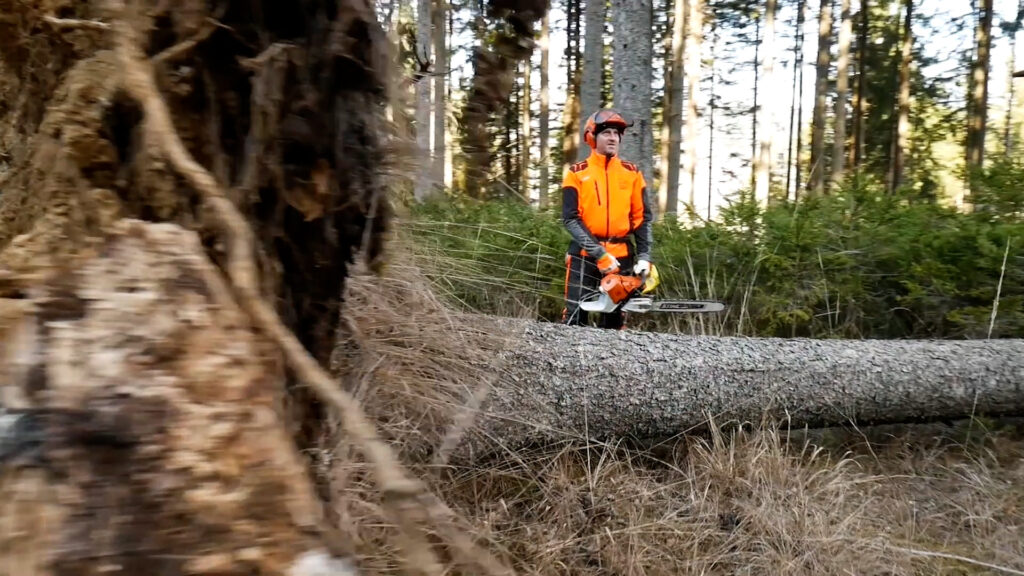 Schadholz6_Ossiach_Foto_BFW_Fast Schadholz in Ossiach / Foto: BFW - Fast