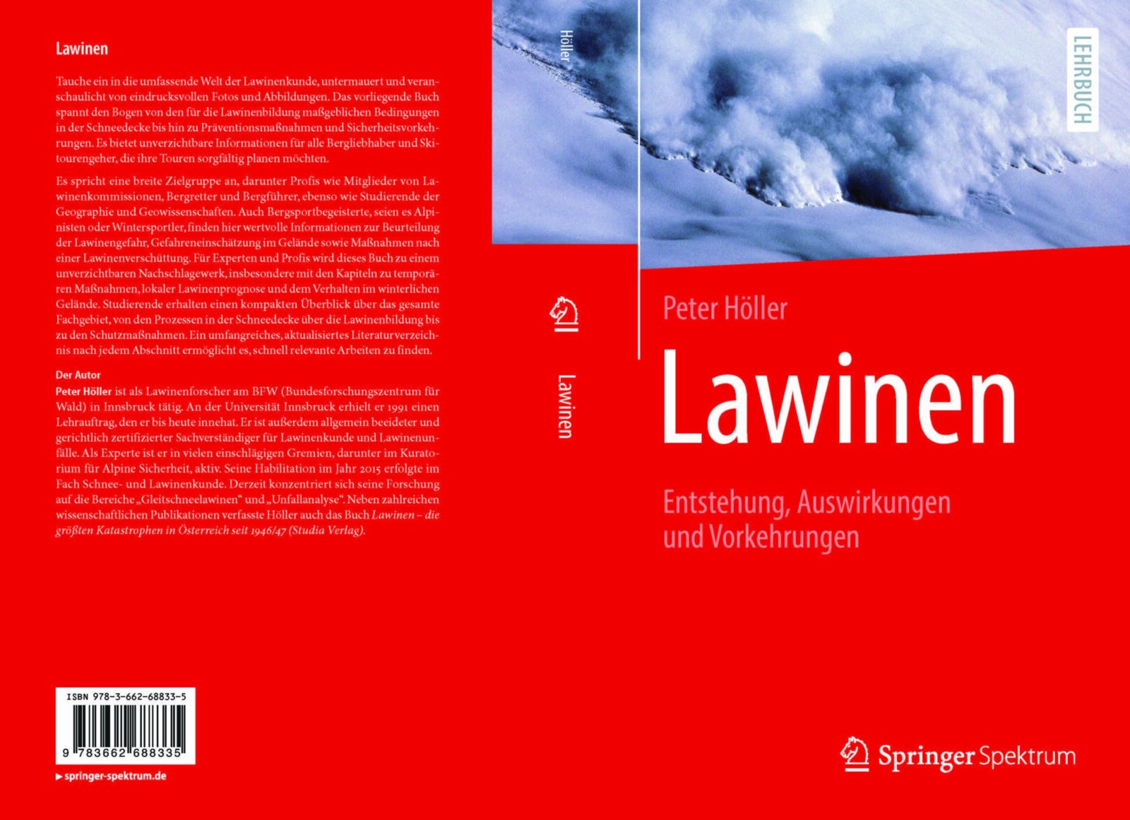 Cover Lawinenbuch Höller