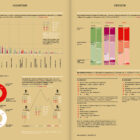oekas_analyse-berg_So2025_68-69