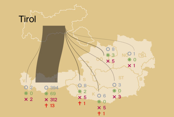 Stromanalyse-analyse-berg-sommerausgabe 2025-Tirol
