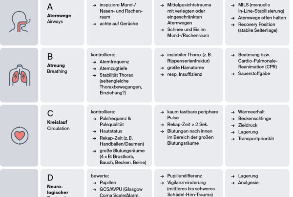 xABCDE-Schema, Dahlmann et al.