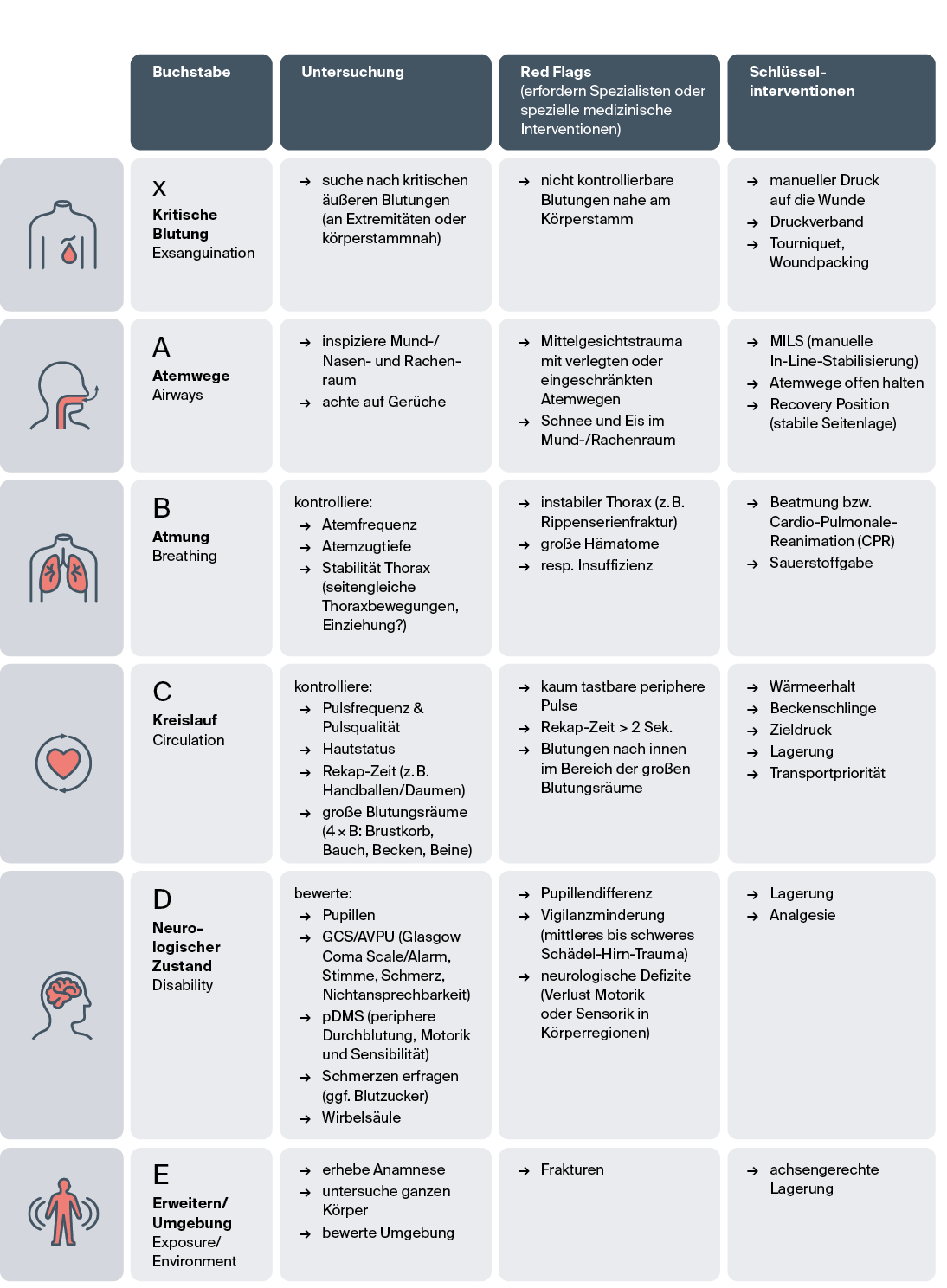 xABCDE-Schema, Dahlmann et al.