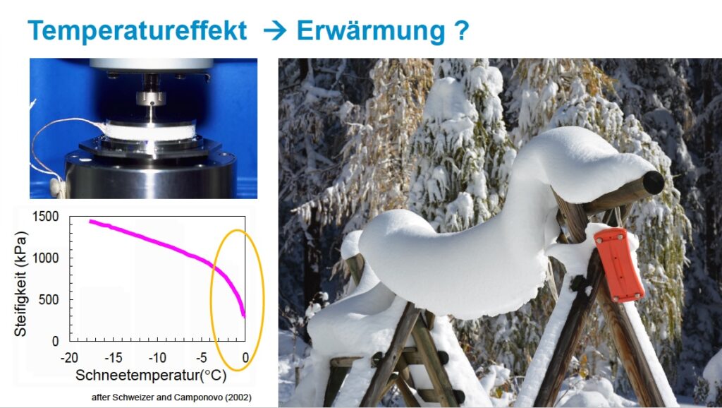 Vortrag Schweizer Alpinforum 2025, Folie 11 Vortrag Schweizer Alpinforum 2025, Folie 11