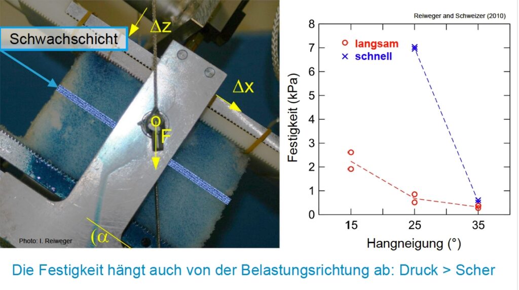 Vortrag Schweizer Alpinforum 2025, Folie 12 Vortrag Schweizer Alpinforum 2025, Folie 12