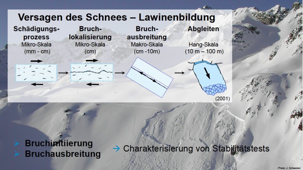 Vortrag Schweizer Alpinforum 2025, Folie 31 Vortrag Schweizer Alpinforum 2025, Folie 31