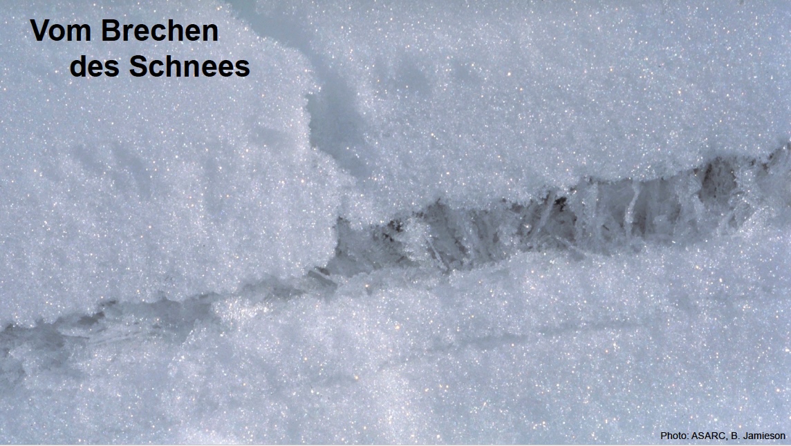 Vortrag Schweizer Alpinforum 2025, Folie 5