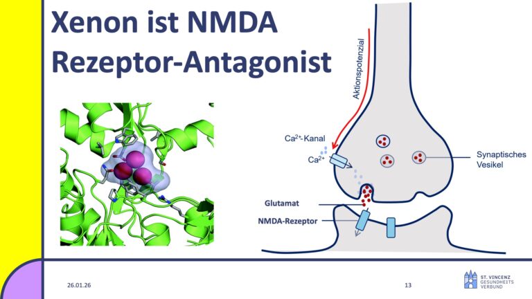 Vortrag Michael Fries, Folie 13, Alpinforum 2025