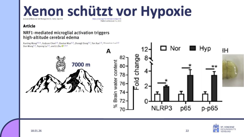 Folie aus Vortag Michael Fries, Alpinforum 2025 Folie aus Vortag Michael Fries, Alpinforum 2025