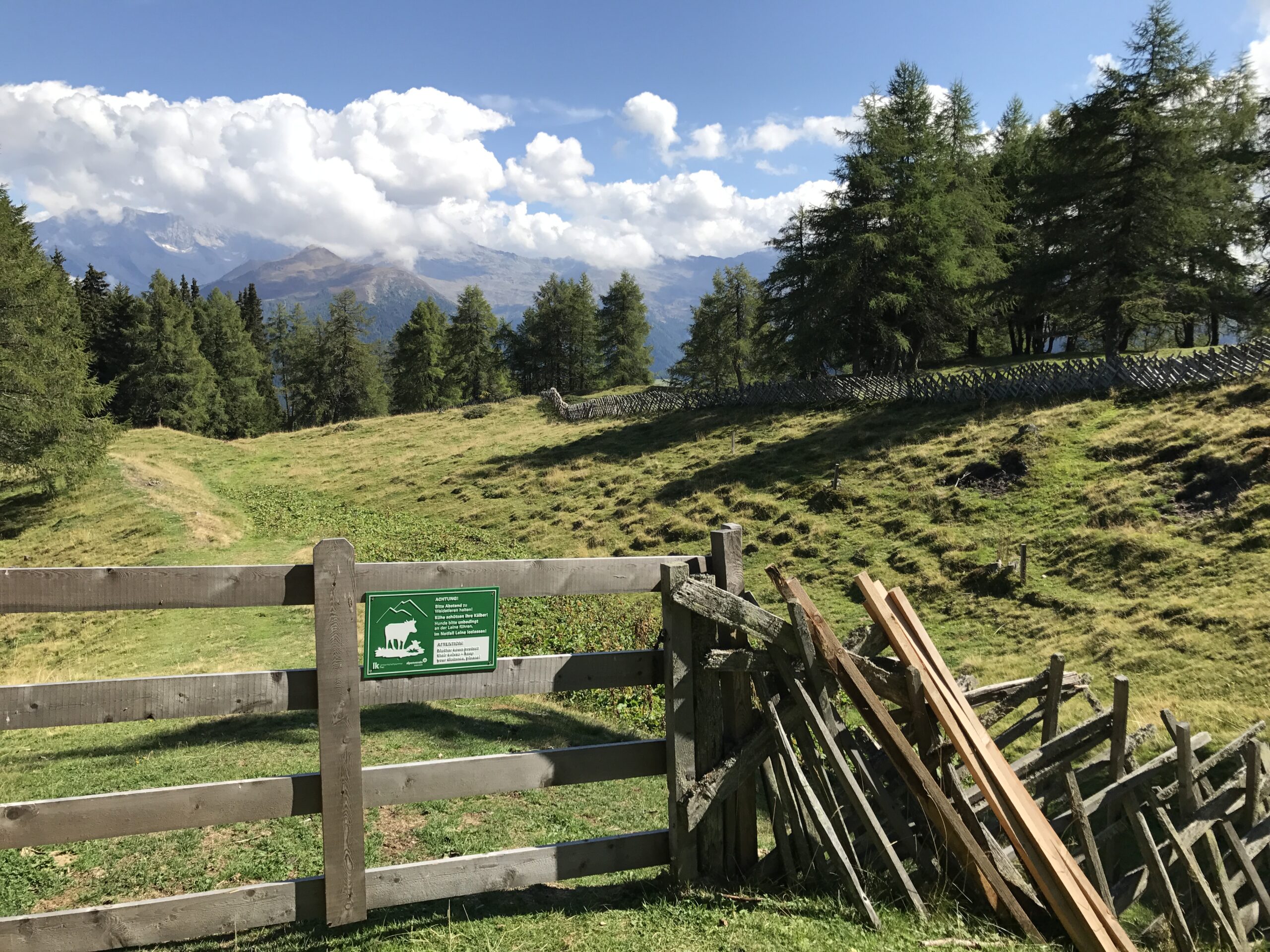 Abb. 4: Hinweisschild Mutterkuhherde von Landwirtschaftskammer und Alpenverein - analyse:berg-sommer 26 Foto: Ch. Schwann